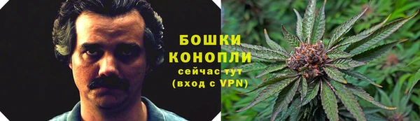 индика Россошь