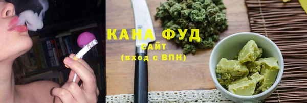 винт Гатчина
