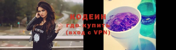 индика Россошь