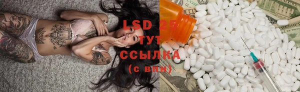 PSILOCYBIN Дмитров