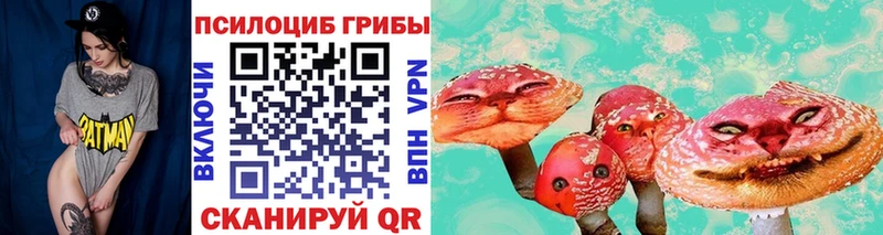 где купить наркоту  KRAKEN сайт  Псилоцибиновые грибы Psilocybe  Великие Луки 