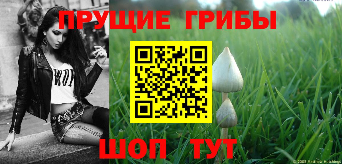 Галлюциногенные грибы GOLDEN TEACHER  Галлюциногенные грибы MAGIC MUSHROOMS  Вход с VPN  Великие Луки 