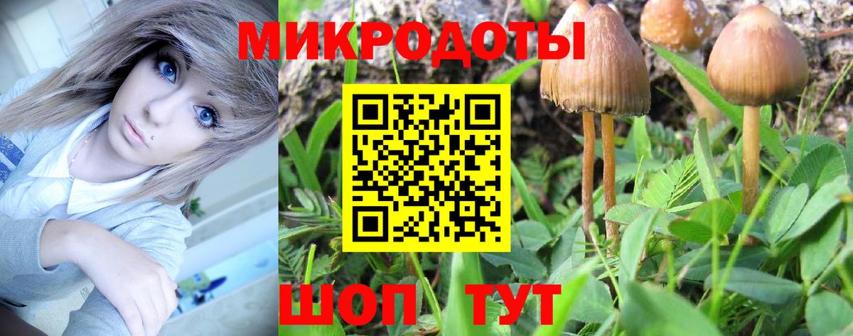 Псилоцибиновые грибы прущие грибы Великие Луки